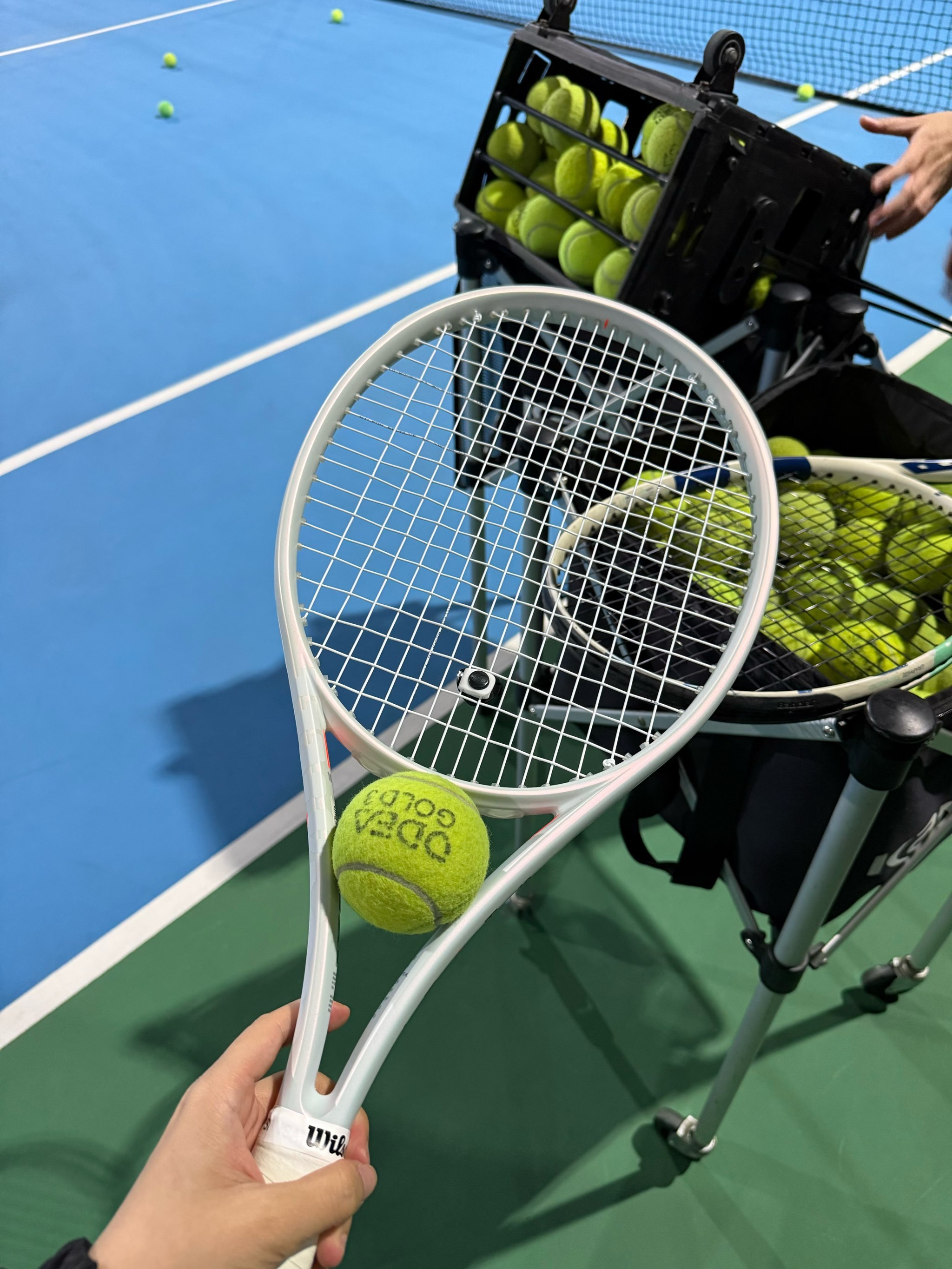 的出色表现 的出色表现