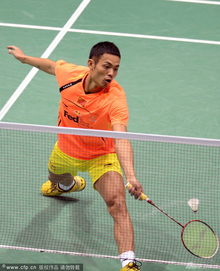 马团队有实 马团队有实