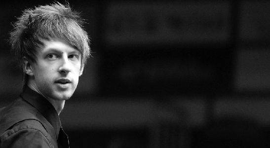 它们的故事 它们的故事